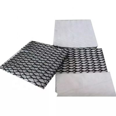 Densité Polyéthylène Certification plastique Géocomposite Drainage GEONET pour les travaux de terrassement