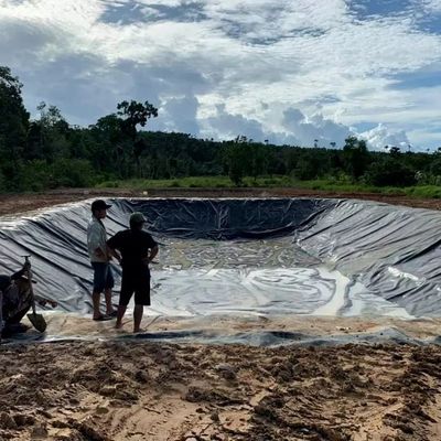 1.0mm Geomembrane en PEHD pour étang de poisson Largeur 1-6m Géomembrane noire résistante aux produits chimiques