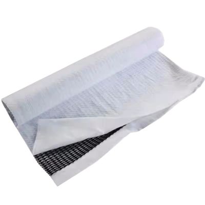 Total Solutions du projet 5 mm épaisseur composite drainage géonet avec géotextile longueur 30m