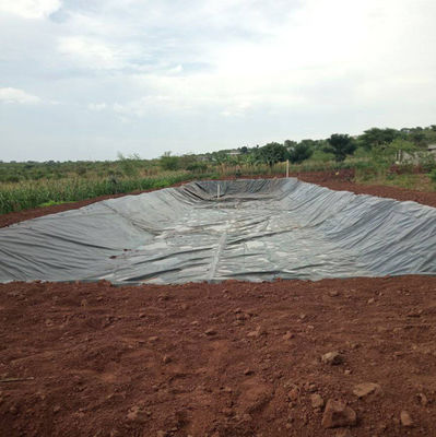 Liner pour étang de poisson à géomembrane en HDPE de 500 microns pour l'étanchéité et l'étanchéité