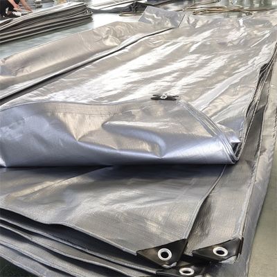 Feuille de tissu en plastique protégé contre les rayons UV pour l'agriculture/couverture industrielle de taille standard