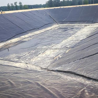 Géomembrane à double surface lisse pour les exploitations d'aquaculture en eau douce Épaisseur 0,2 mm-2,8 mm