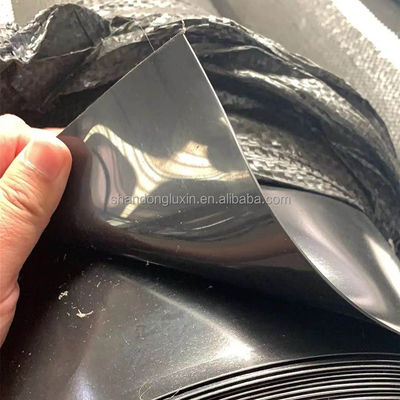 Élevage de crevettes de Singapour Géomembrane HDPE imperméable à l'eau de 0,3 mm avec inspection sur place