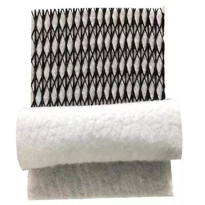 Densité Polyéthylène Certification plastique Géocomposite Drainage GEONET pour les travaux de terrassement