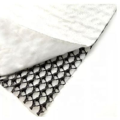 HDPE Mesh 3D composite drainage composite Geo Net Geonet Noir Blanc pour vos besoins