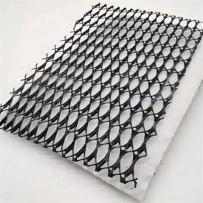 HDPE Mesh 3D composite drainage composite Geo Net Geonet Noir Blanc pour vos besoins