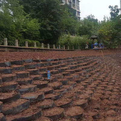 Géocelle en HDPE lisse texturée pour conserver les catégories de paroi croisée et le dessin industriel