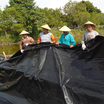 1 mm de revêtement de géomembrane en PEHD pour étang de la ferme de crevettes de poisson durée de vie 10 ans