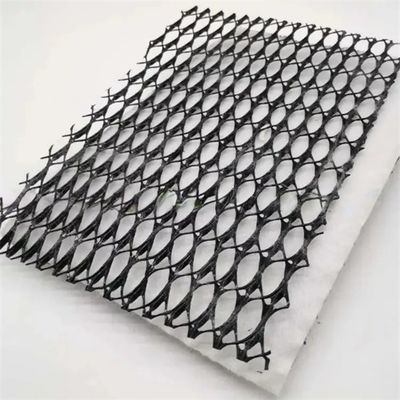 Largeur de 2m à 4m Réseau de drainage géonet composite géotextile plastique pour les solutions de projet