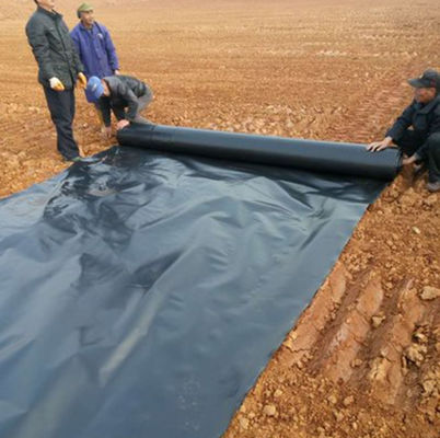 Capacité de la solution du projet Géomembrane HDPE pour étang de pisciculture