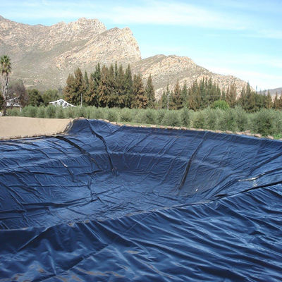 50-200m longueur géomembrane HDPE pour crevettes pisciculture