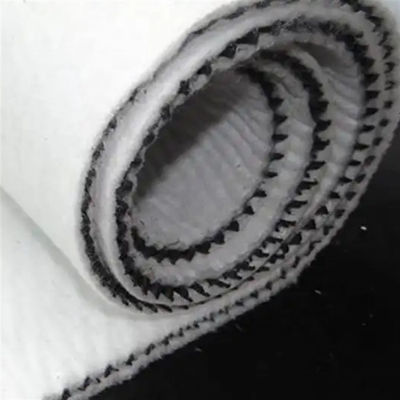 Réseau de drainage composite 3D HDPE avec géotextile PP pour le drainage et la protection des routes