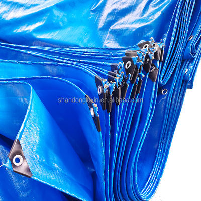 Couverture de camion de revêtement PE résistant aux déchirures 100% étanche Couverture de chargement en Afrique Tarpaulin