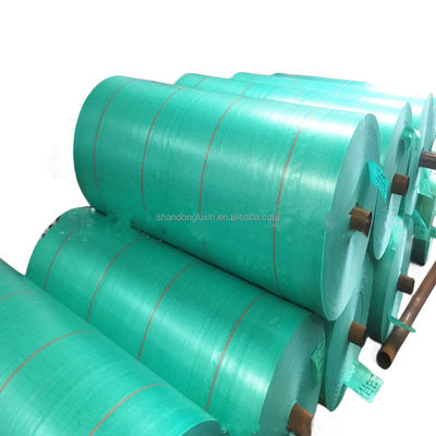 Rouleaux de bâches en PE de couleur personnalisée et de motif revêtu pour la protection extérieure