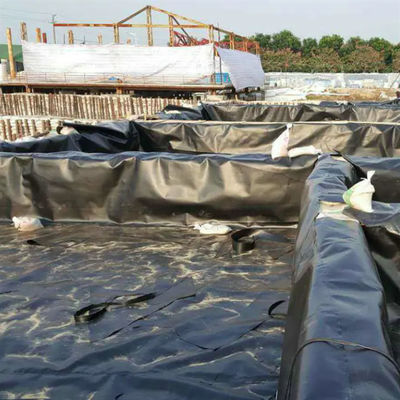 Géomembrane double en PEHD lisse pour l'élevage des poissons, l'aquaculture, les revêtements d'étangs et les revêtements de barrages