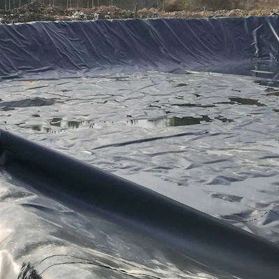 Géomembrane double en PEHD lisse pour l'élevage des poissons, l'aquaculture, les revêtements d'étangs et les revêtements de barrages