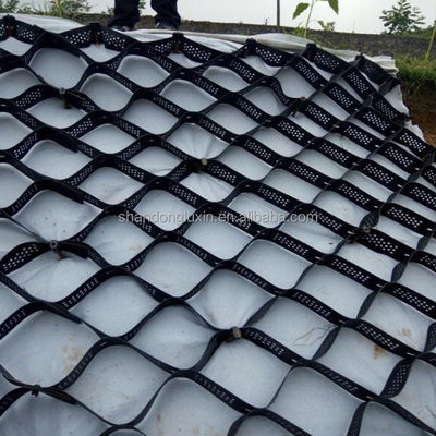 Produits de terrassement noir Hdpe Geocel pour le revêtement de chaussée en gravier Geocel