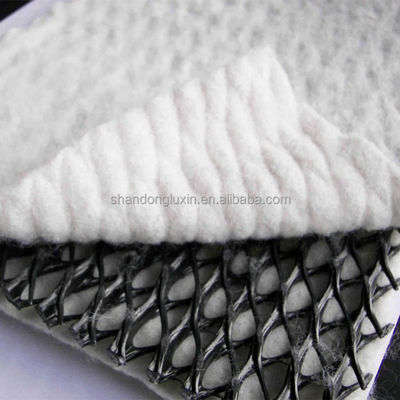 Conception industrielle Aménagement du paysage Drainage Mat 3D Drainage composite Geonet Réseau composé