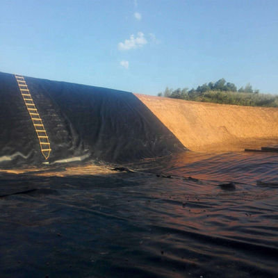 Anti-UV HDPE Liner d'étang 1 mm Longueur 50-200m pour les décharges 0,7 mm Géomembranes imperméables
