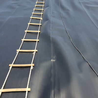 ASTM GM13 Standard HDPE Geomembrane Liner 0,3 mm 0,5 mm 0,75 mm 1 mm pour les marchés nationaux