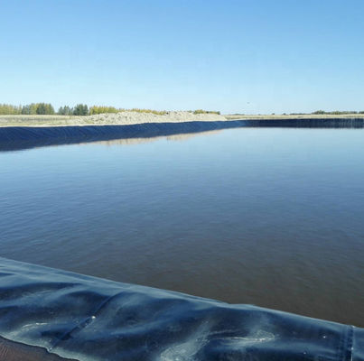 ASTM GM13 Standard HDPE Geomembrane Liner 0,3 mm 0,5 mm 0,75 mm 1 mm pour les marchés nationaux
