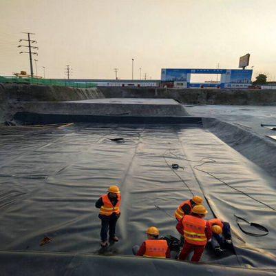 ASTM GM13 Standard HDPE Geomembrane Liner 0,3 mm 0,5 mm 0,75 mm 1 mm pour les marchés nationaux