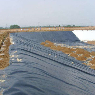 ASTM GM13 Standard HDPE Geomembrane Liner 0,3 mm 0,5 mm 0,75 mm 1 mm pour les marchés nationaux