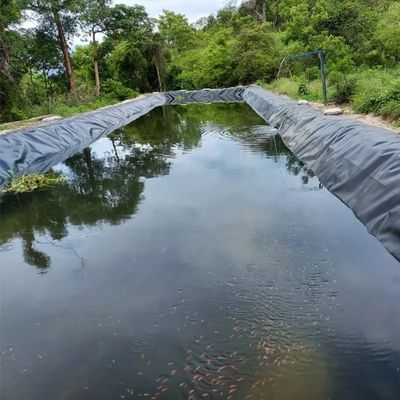 Géomembranes 1 mm 2 mm étanche à l'eau réservoir de remplissage de barrage de la piscine piscine de poisson étang de la ferme de la ligne HDPE