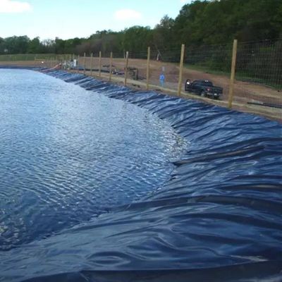 Géomembranes 1 mm 2 mm étanche à l'eau réservoir de remplissage de barrage de la piscine piscine de poisson étang de la ferme de la ligne HDPE