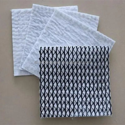 50m/100m Longueur HDPE Mesh 3D composite Drainage composite Geo Net en noir et blanc
