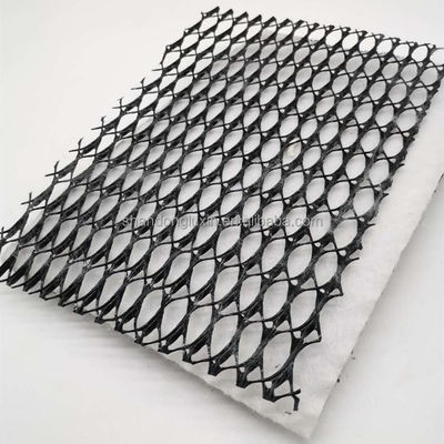 Densité géonite composite en polyéthylène plastique La solution ultime pour le drainage routier