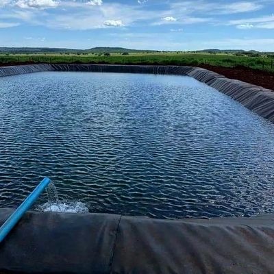 1.0mm Geomembrane en PEHD pour étang de poisson Largeur 1-6m Géomembrane noire résistante aux produits chimiques