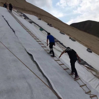 Densité géonite composite en polyéthylène plastique La solution ultime pour le drainage routier