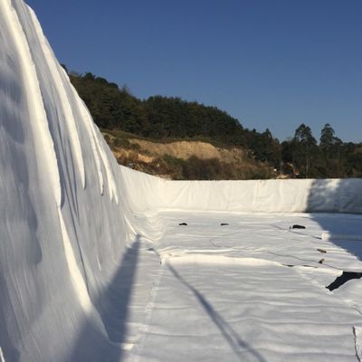 Densité géonite composite en polyéthylène plastique La solution ultime pour le drainage routier