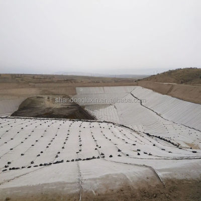 50 m/100 m/ Réseau de drainage composite pour les décharges de décharges certifié CE/ISO9001/ISO14001