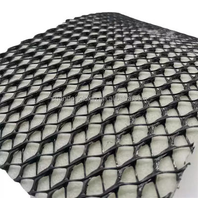 Drainage des eaux de pluie 3d Réseau de drainage géocomposite en plastique pour tunnels ou barrages industriels