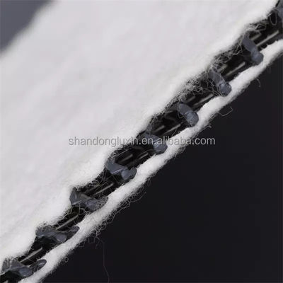 Réseau de drainage composite tridimensionnel en noir et blanc Geonet Hdpe 5 mm Tapis de drainage Tissu non tissé