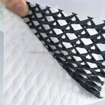 Densité Polyéthylène Plastic Geo Net pour le drainage Mesh 3D composite de géosynthèse