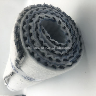 Densité Polyéthylène Plastic Geo Net pour le drainage Mesh 3D composite de géosynthèse