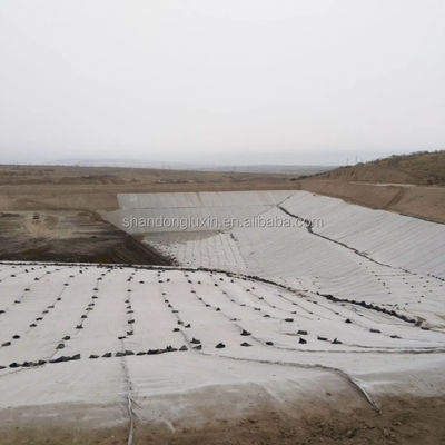 Réseau géocomposite pour le drainage des jardins