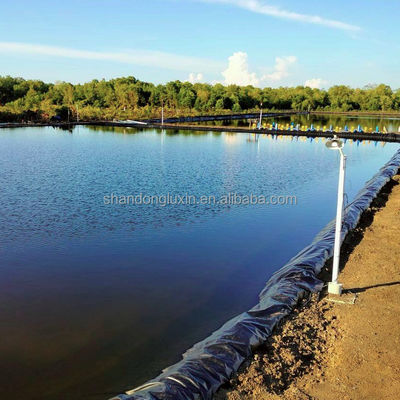 ASTM GRI-GM13 Standard HDPE Liner pour les étangs de poissons et les réservoirs d'élevage Épaisseur 0,3 mm-1 mm