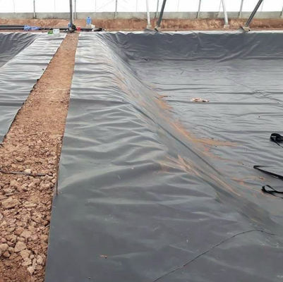 Élevage de poissons Liner d'étang en géomembrane HDPE en noir blanc bleu ou vert Longueur 50-200m