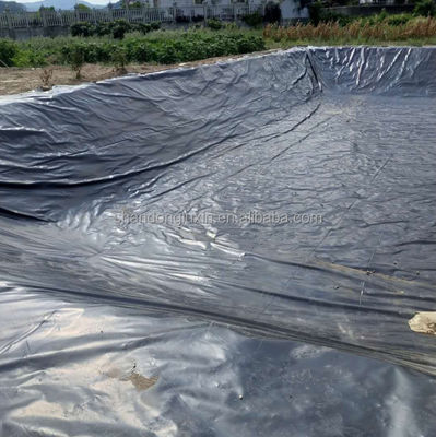 Plaque de géomembrane en plastique hydrophobe double lisse en PEHD pour étang de poisson aquatique