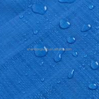Autres tissus en PE Tissus imprimé 100% imperméable à l'eau pour le couvercle de camion et le couvercle de fret