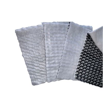 Densité Polyéthylène plastique géocomposite Drainage de conception moderne 6 mm d'épaisseur pour les autoroutes