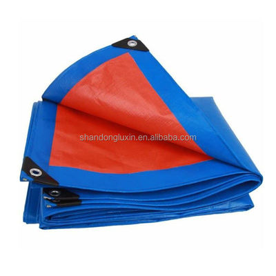 6*6-16*16 Densité Autres tissus Couverture de serre Ruloir en plastique pour tissus polyvalents