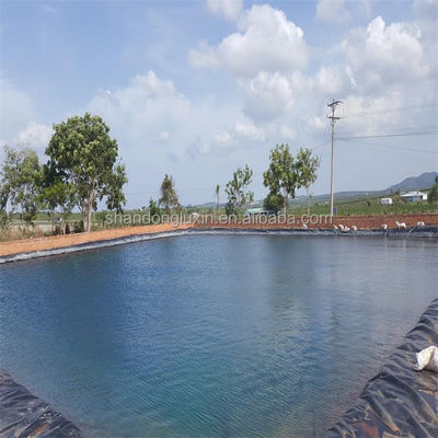 La feuille de revêtement de bassin en PEHDL pour le projet de réservoir en Malaisie 1m-8m Largeur du matériau HDPE