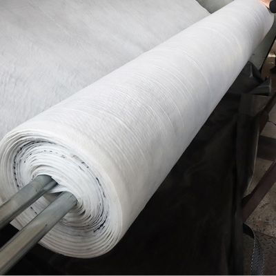 Geonet de drainage composite géotextile adhésif de 5 mm pour améliorer les performances de drainage