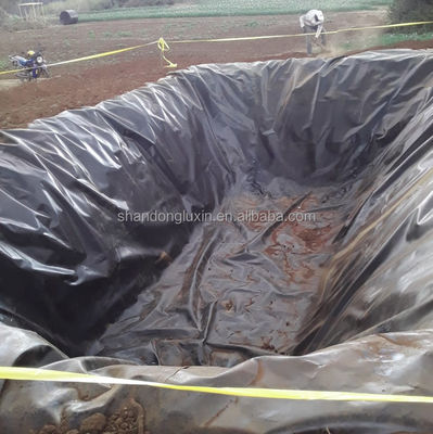 Liner de géomembrane HDPE de 0,5 mm à 1,0 mm à 1,2 mm à 2 mm pour étang de ferme de poissons