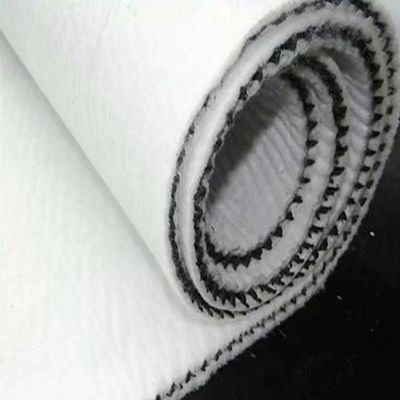 Total Solutions du projet 5 mm épaisseur composite drainage géonet avec géotextile longueur 30m